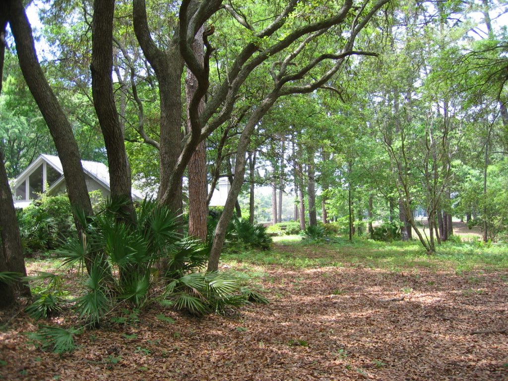 House to the left of the plot ... not clear where property line is